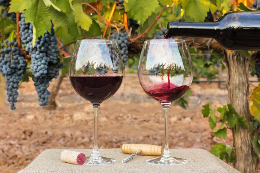 去年全球葡萄酒产量是1961年以来最差。