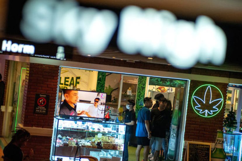 泰国娱乐用大麻产业链预计到明年为止的价值将高达12亿美元。