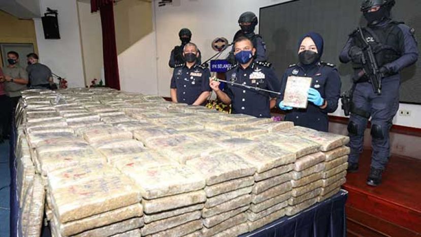 ●拿督阿育汉（前排中）展示所起获的大麻。