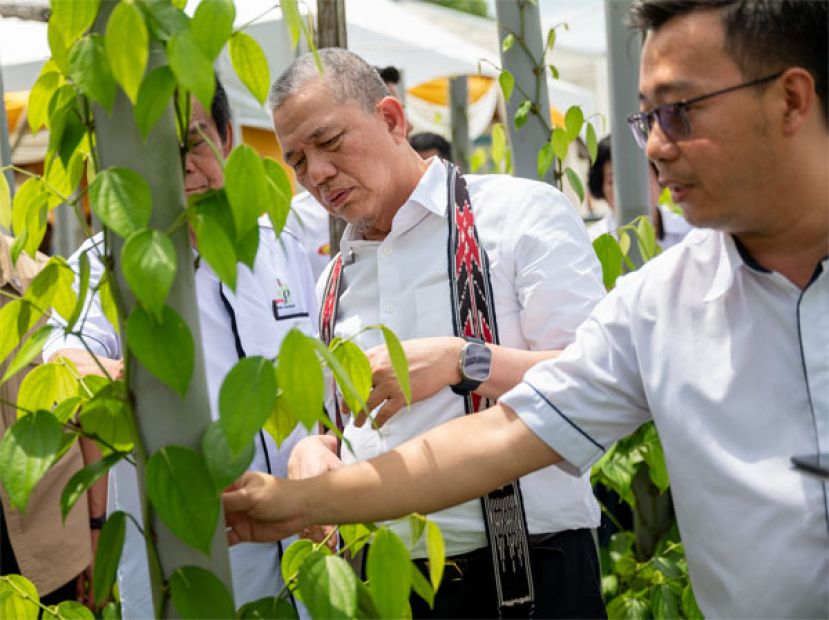 副首相兼种植及原产业部长拿督斯里法迪拉.