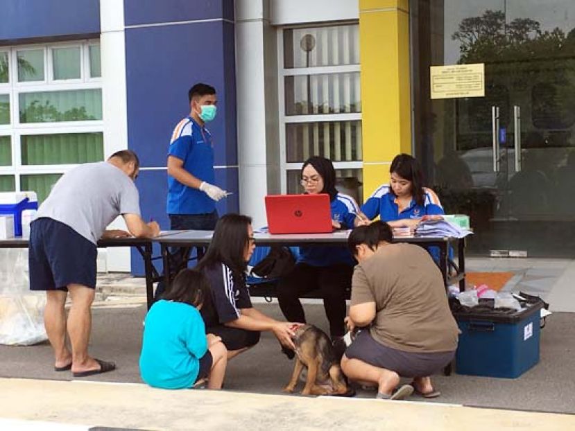 砂兽医局为狗只提供免费的狂犬病疫苗注射。