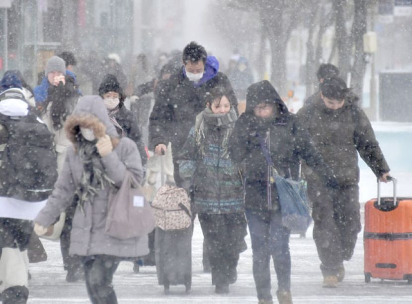 日本北海道旭川市5月份罕见观测到超过1公分以上的降雪。