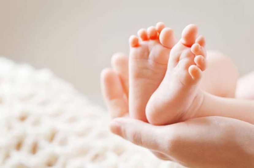 大马各族生育率均下降  龙年华裔新生婴儿不增反减