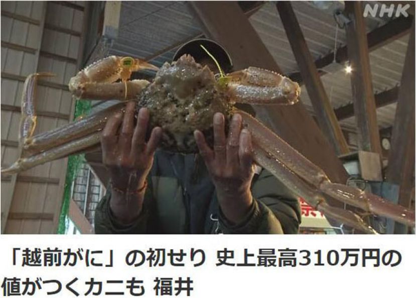 这只螃蟹在日本拍出天价。