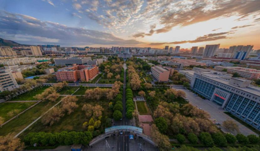 新疆农业大学鸟瞰图。