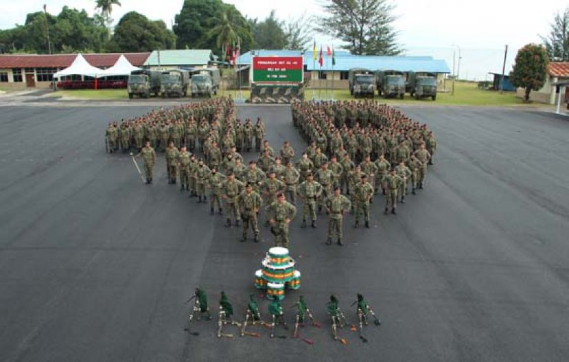 大马后备军511军团军官与军士们合影。