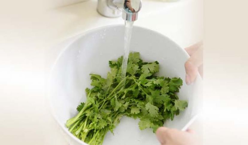 食用量才是食物安全关键