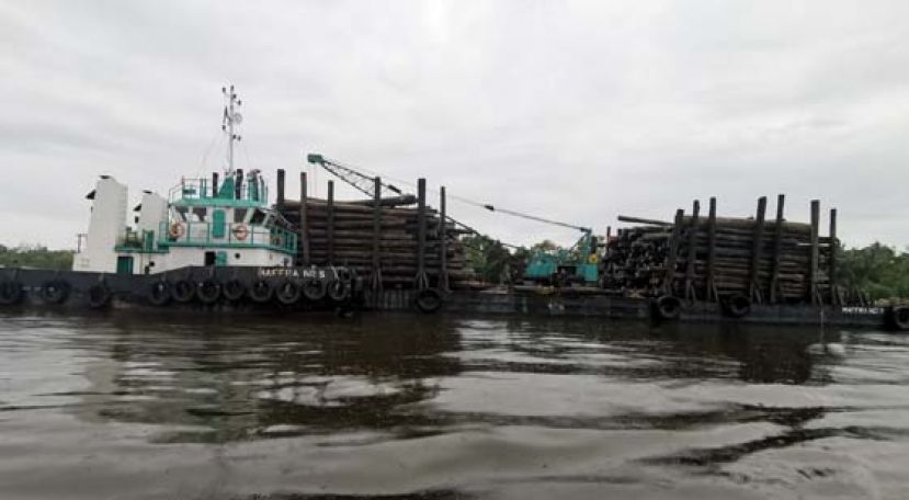 疑运载走私木桐被扣查的舯舡。