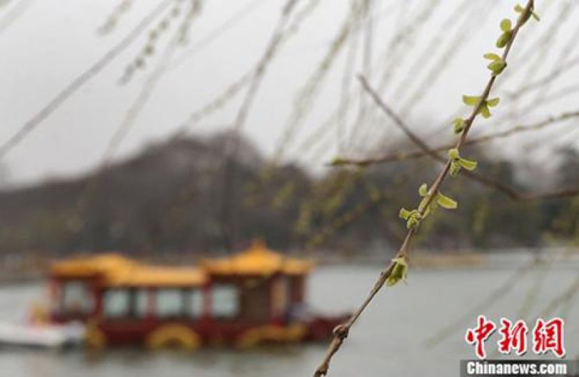 惊蛰又名&ldquo;启蛰&rdquo;？ 除了吃梨，还有这些习俗