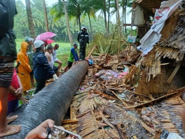 一家五口居住的房屋遭倒塌树木击中，造成5人全数死亡。