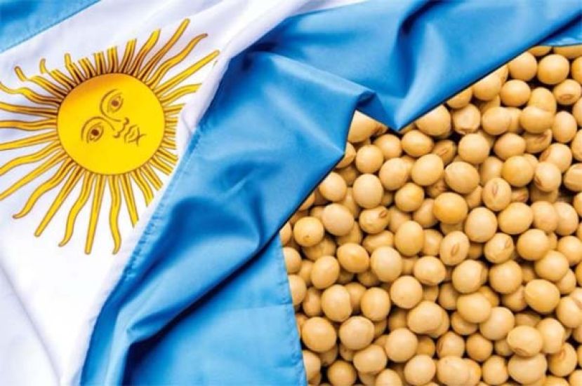 阿根廷取消穀物出口稅后中国大买大豆，美农民再受冲击。