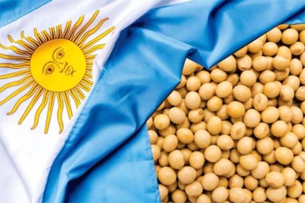 阿根廷取消穀物出口稅后中国大买大豆，美农民再受冲击。