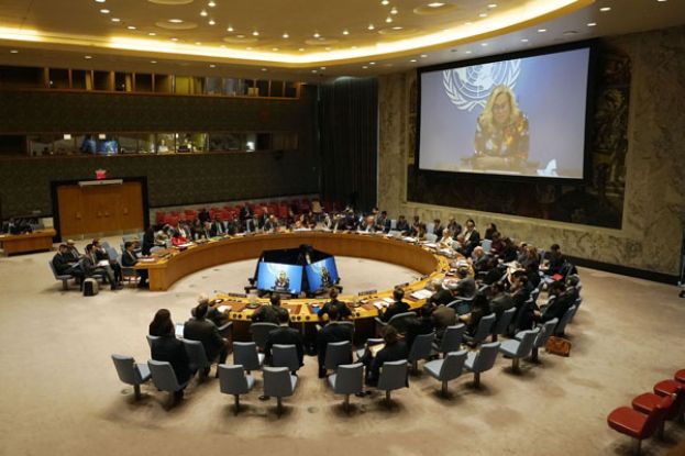 美国在联合国安理会上否决永久停火草案。