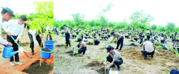 缅甸国防军举行2026年首场雨季植树活动