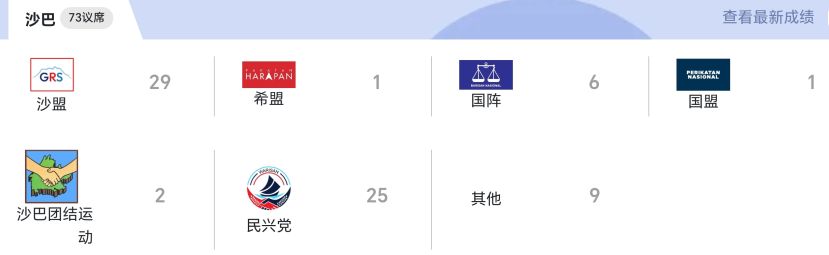 沙盟是州选最大赢家  赢下29个议席
