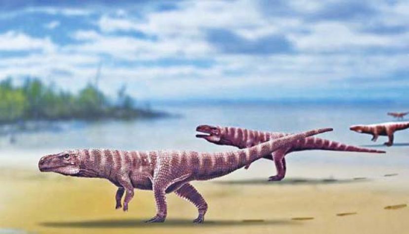 科学家推想的两腿行走鳄鱼祖先模样。