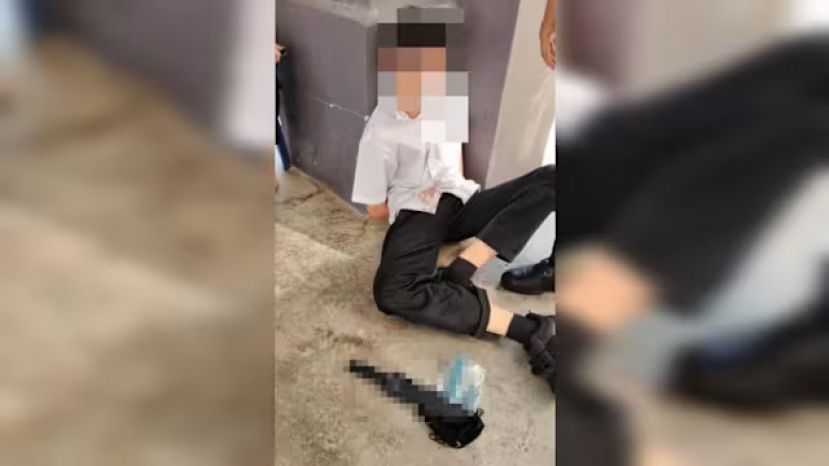 刺死女学姐叶芯嫙的少年今日表明他不认罪   案件目前暂定于7月开审