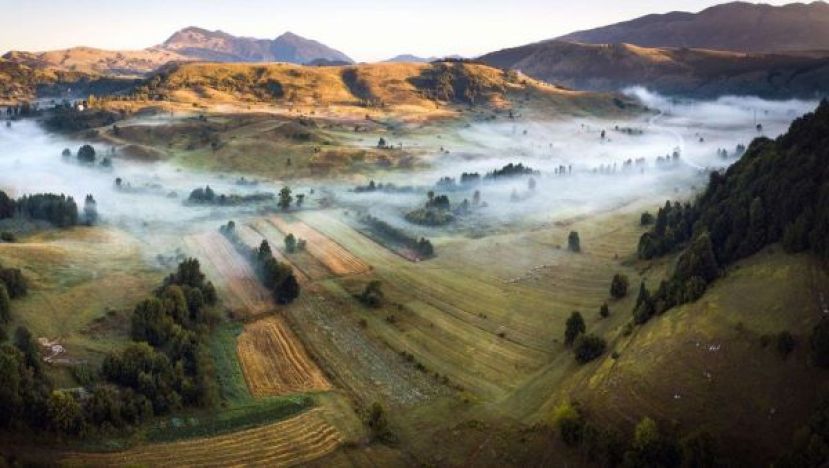 欧洲环境署报告：欧洲环境状况不容乐观。