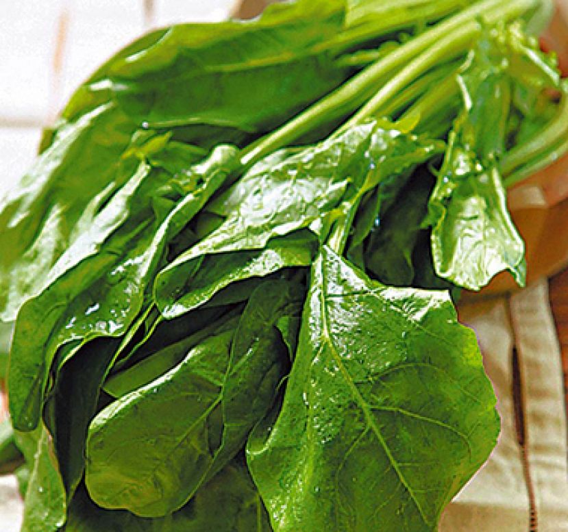 孩童染肠胃炎 不宜吃蔬果恐加重症状