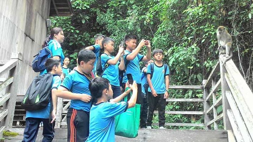 图示：拿起相机，为文化村内可爱的猴子拍照。