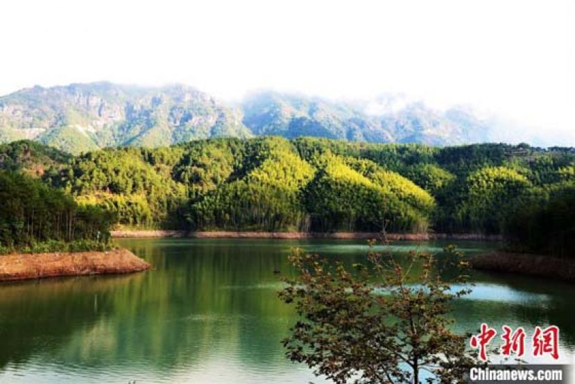 山清水秀的柘荣县东源乡绸岭村。