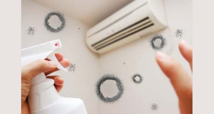霉菌满屋可致肺炎　长期病患易中招