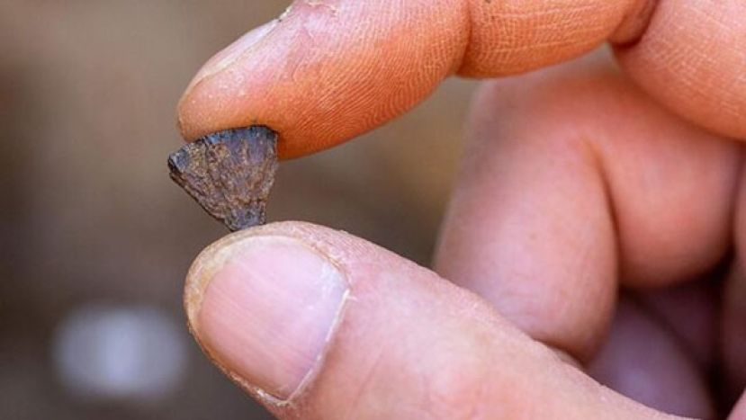 在巴纳姆遗址发现的一块黄铁矿碎片。