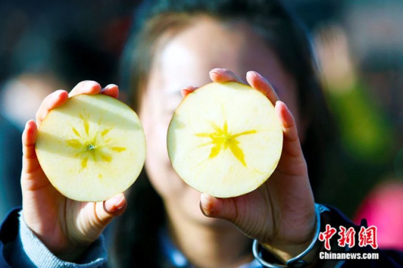 阿克苏苹果切开展示糖心。