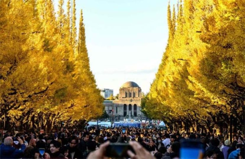 调查：外国人游日本，3成遭遇过度旅游问题。