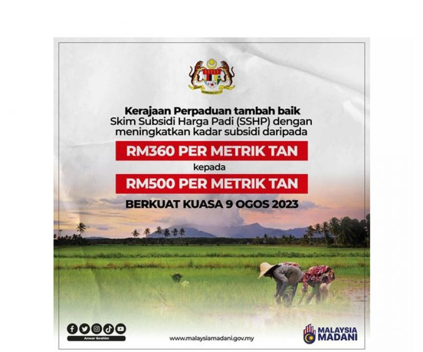 首相：稻米补贴金即起每公吨增至500