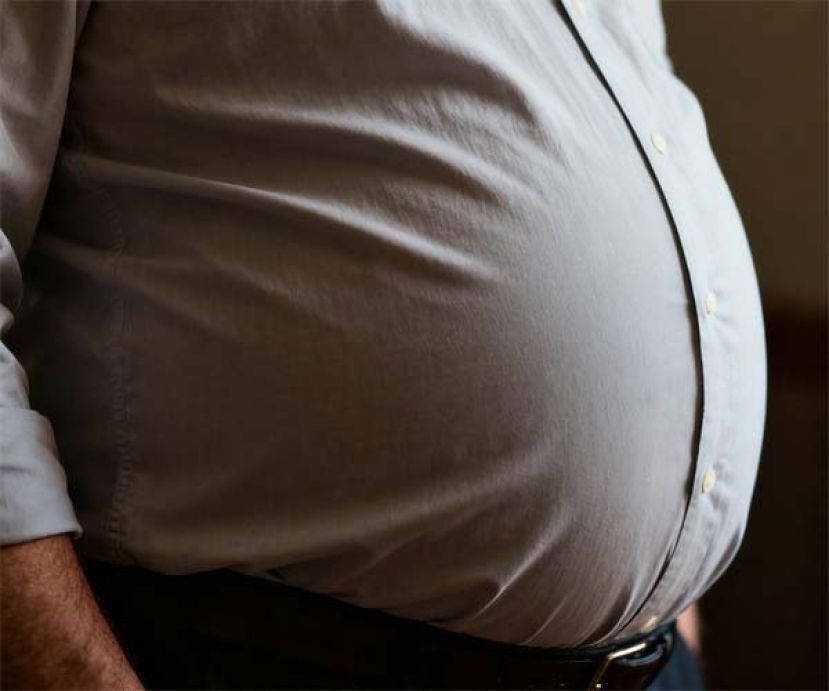 肥胖不仅影响身材，更会直接损害大脑功能。