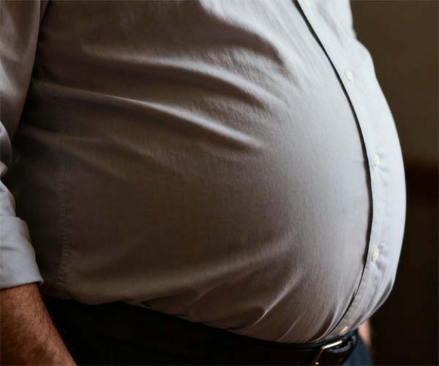 肥胖不仅影响身材，更会直接损害大脑功能。