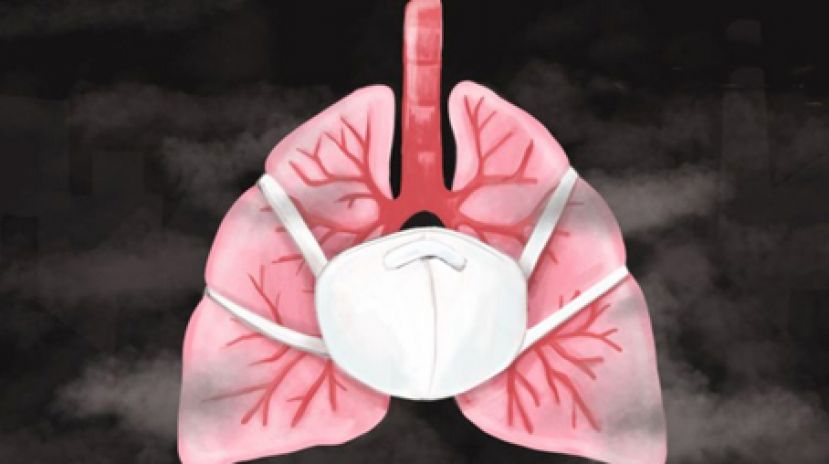对抗新冠肺炎　中医药提升肺功能是强项