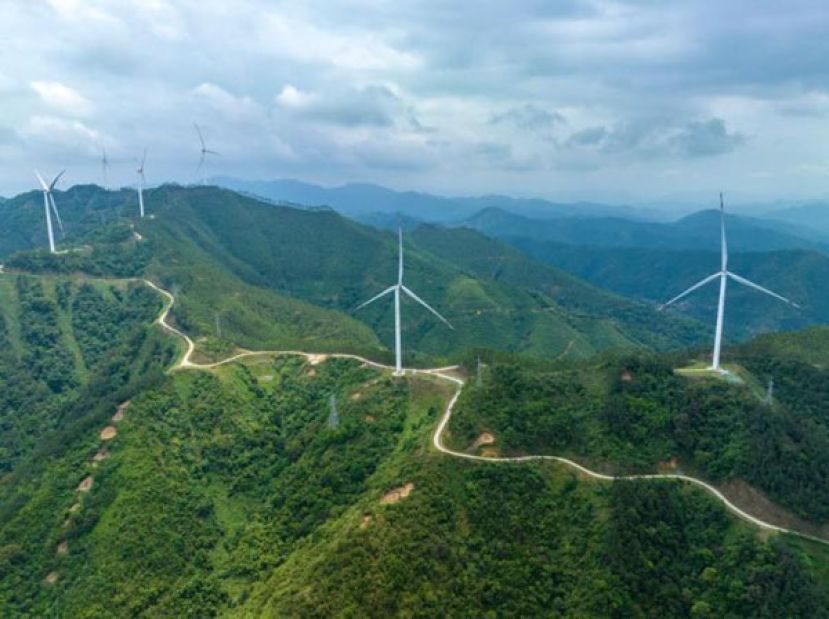 2025年上半年，中国太阳能和风能发电量增长超过电力需求，使得煤炭消费量下降。