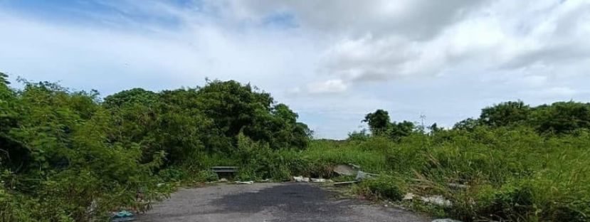 31岁保险从业员遭割喉藏行李袋弃尸案  弃尸地点属组屋区后方