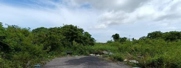 31岁保险从业员遭割喉藏行李袋弃尸案  弃尸地点属组屋区后方