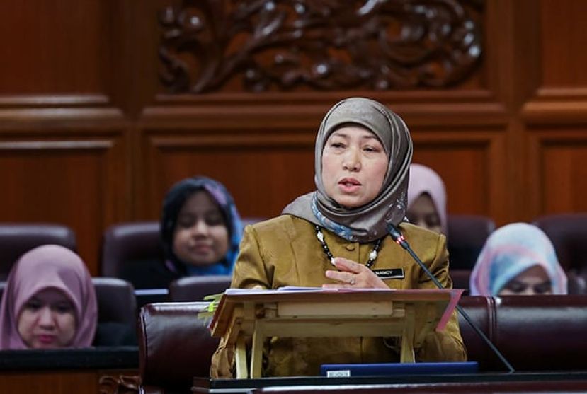 南希：自闭症看护中心数量不足 全国内仅有33间自闭症看护中心