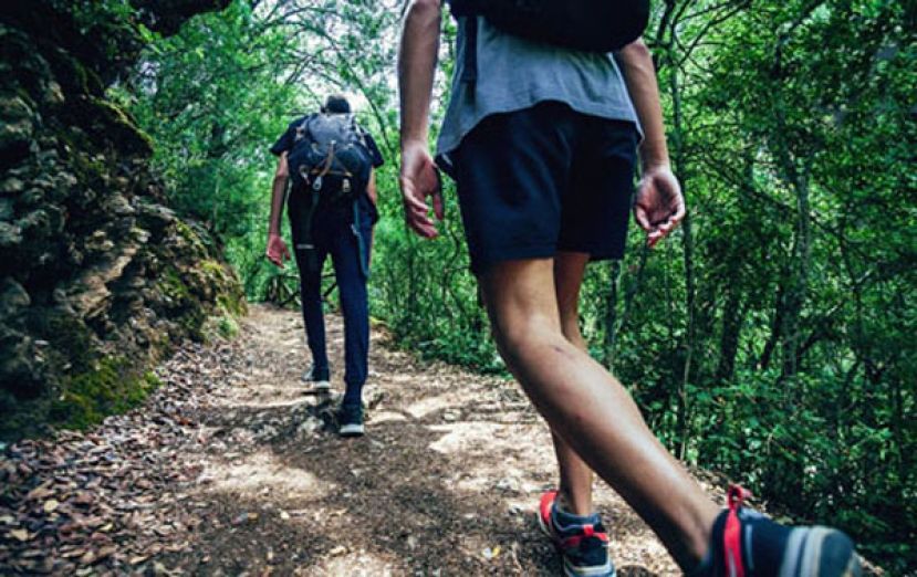 医教被蛇咬急救3步骤：手机先拿出来录影