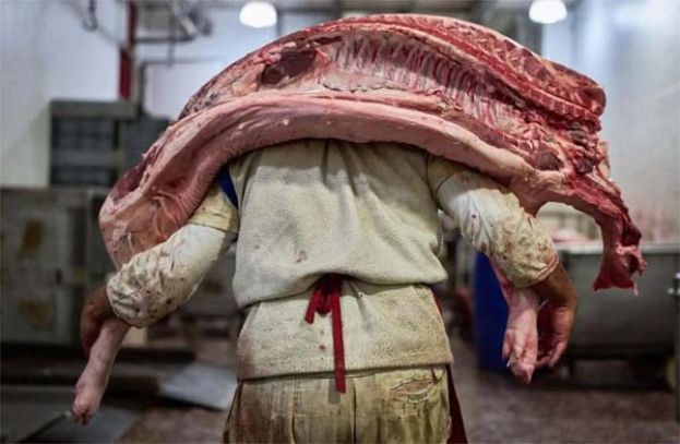 挂牛头卖猪肉，伊拉克圣城肉販被判监10年。