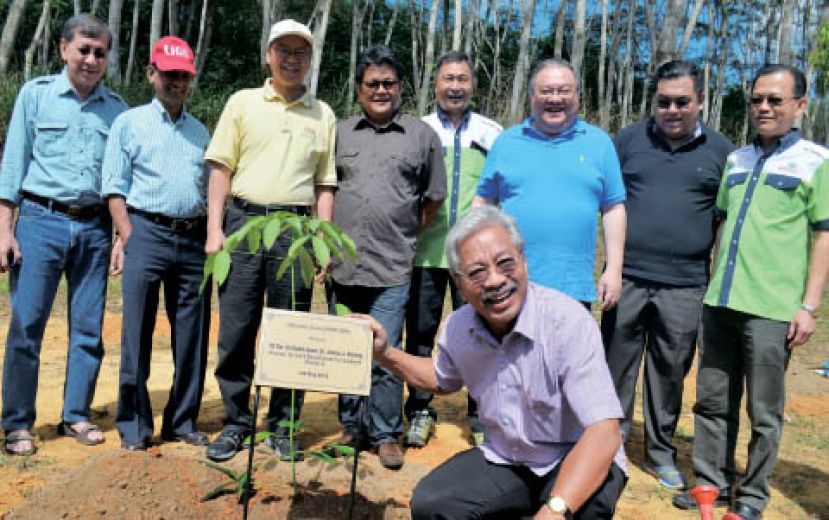 图示：2015年五月砂州副首长丹斯里占玛欣在亲自种下优质品种橡胶后与嘉宾合影，后排左起为吴陵泉律师、沙巴橡胶业发展局总经理拿督哈里斯、斗亚兰区国会议员主席拿督维尔弗雷、苏克州议员拿督安伦安营、婆联木业有限公司董事胡凤城、黄文彬集团总裁拿督黄国忠、罗国文集团董事经理拿督罗国文及婆联木业有限公司首席执行员杨福贤。