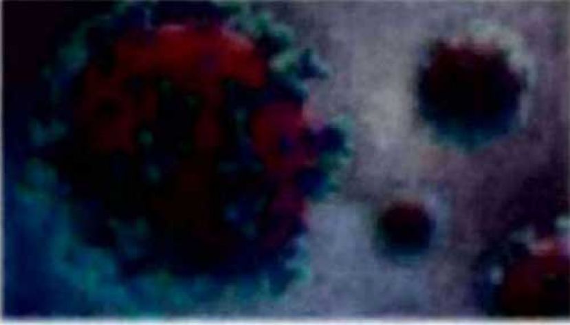 《新冠肺炎》  大马新增4831确诊10疫殁