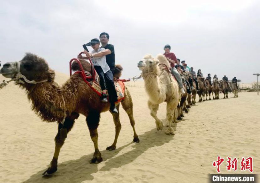 在尉犁县罗布人村寨旅游景区里，各地游客骑着骆驼，沉浸式体验沙漠亲子时光。