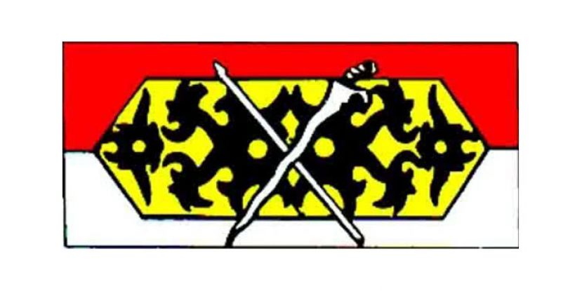 阿邦佐指示砂土保党　马上投入备战国选