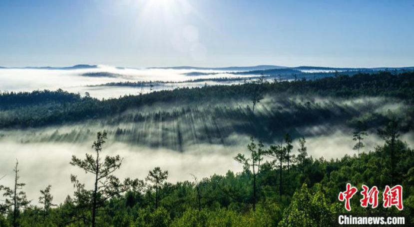 云海中的内蒙古大兴安岭莫尔道嘎生态功能区壮阔且静谧。