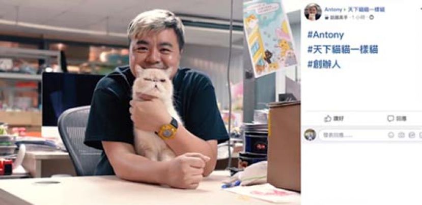 办公室只有一只猫老板，叫少爷鸡。