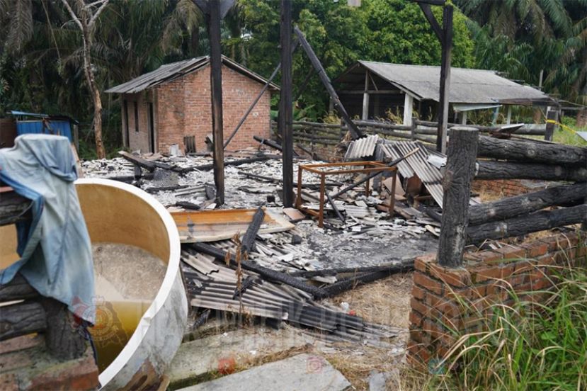 油棕园的一栋被火烧过的房子内，赫然发现六具被火焚过的人体遗骸。