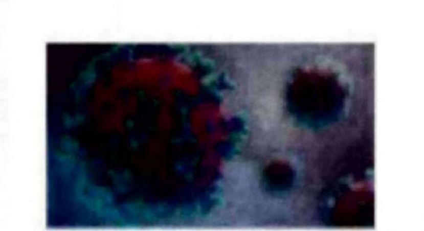 新冠肺炎  大马新增4896确诊12病逝