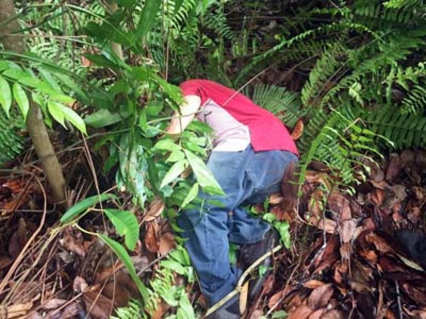 老翁被发现时身躯斜倒丛林中。