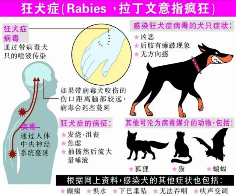 政府迄今举办了882场的狂犬病讲座会和醒觉运动。
