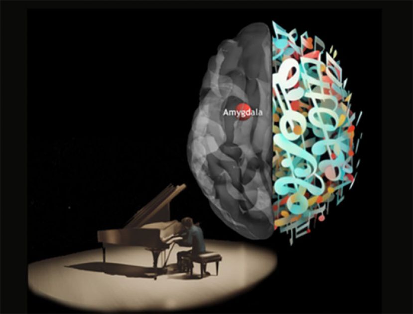 研究证实 &ldquo;持续学音乐技能&rdquo; 增强大脑神经连结
